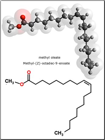 methyl oleate